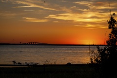 Solnedgång över ölandsbron